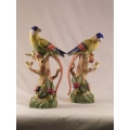 Pair of Hand Painted Porcelain Birds