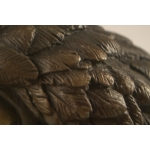 Bronze American Eagle